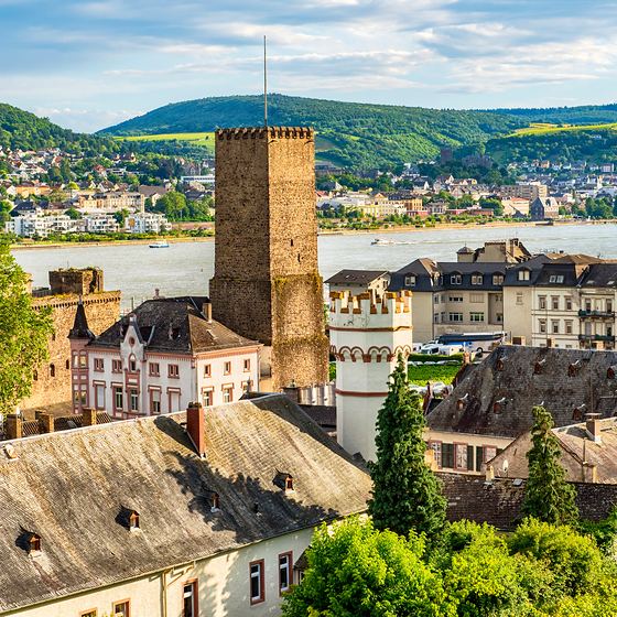 Blick über Rüdesheim auf den Rhein